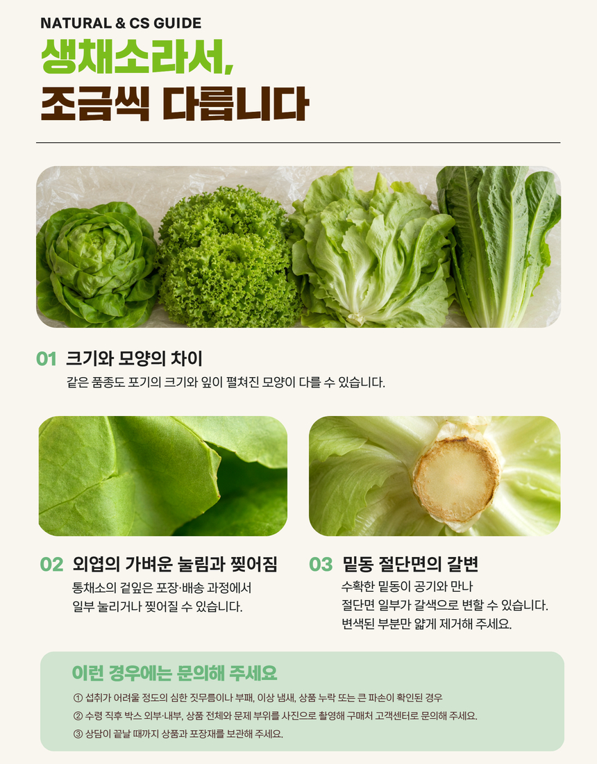 전북생생장터-김제 유러피안 샐러드 통야채 4종 1kg 13.jpg
